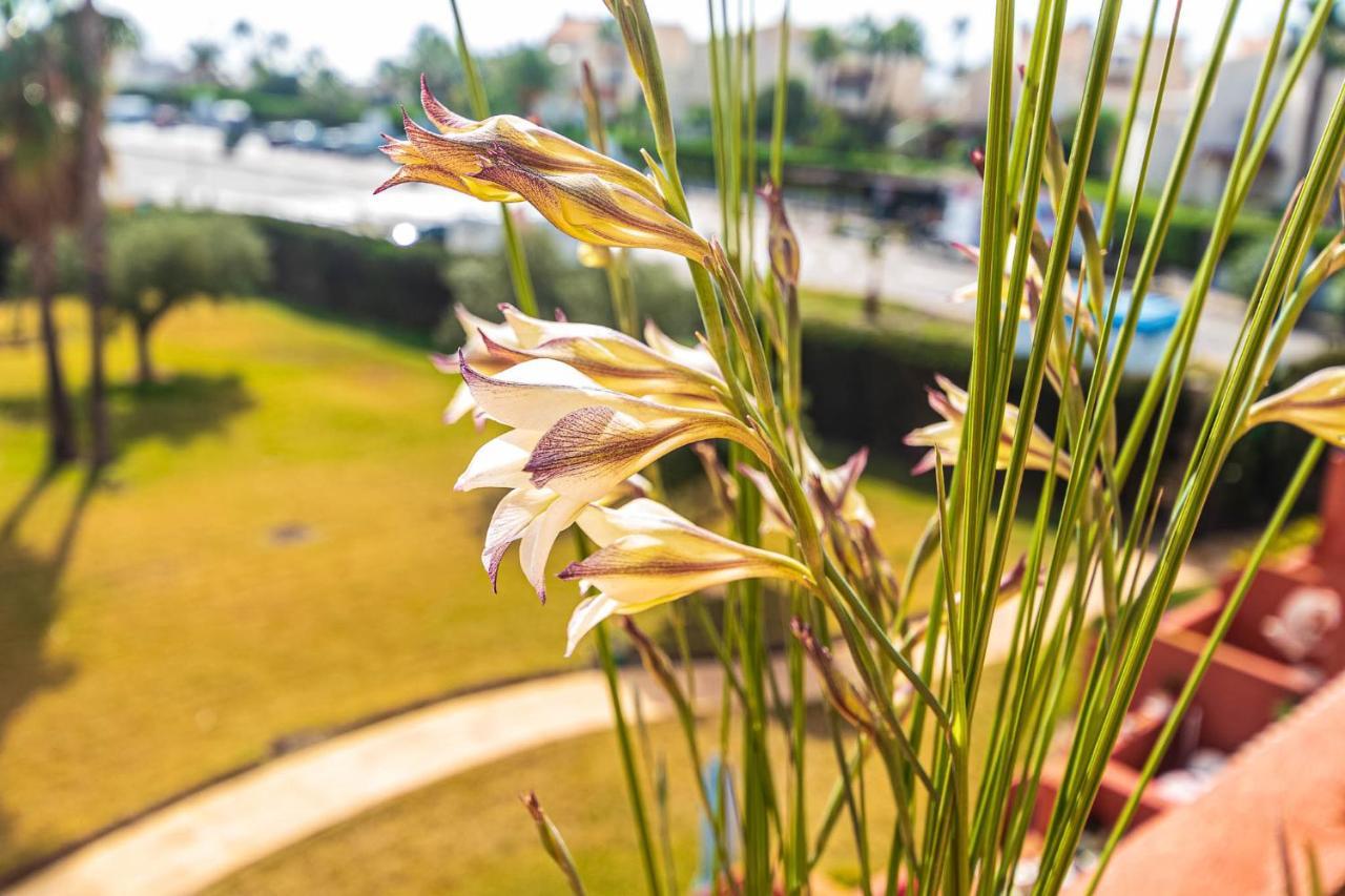 Vera Buda Natura. Atico Apartamento Con Vistas Al Mar. Playas de Vera Eksteriør billede